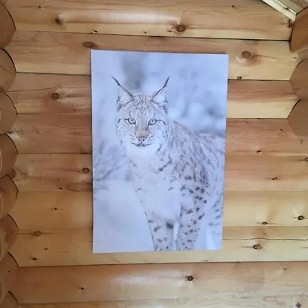 Le Syote شاليه