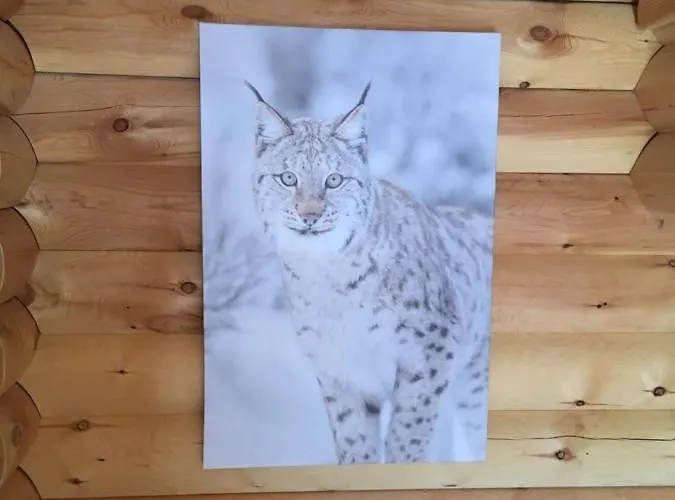 Le Syote Horská chata